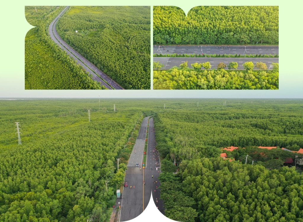 Vinhomes Cần Giờ: Từ Quy Hoạch Cho Tới Thực Tế 4 Vinhomes Cần Giờ được bao bọc bởi rừng ngập mặn